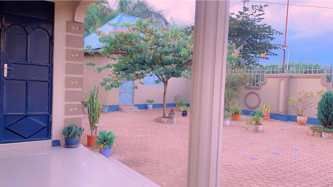 Evelina House Hostel Boma la Ngombe Ngoại thất bức ảnh